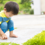 子どもが安心して遊べる庭作りと目隠しのポイントをご紹介