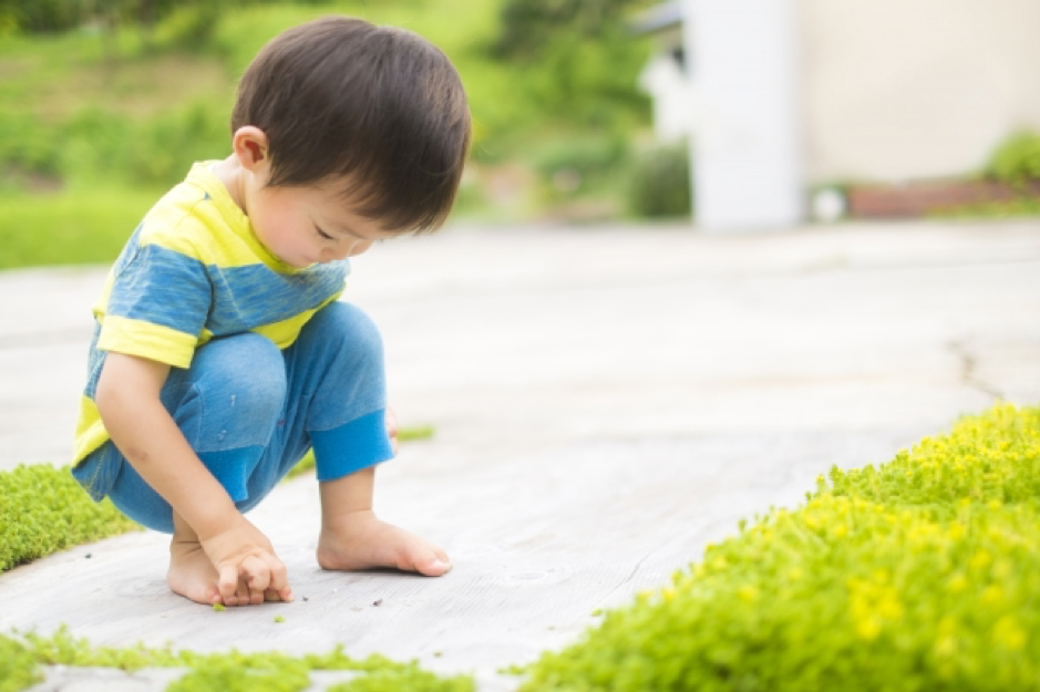 子どもが安心して遊べる庭作りと目隠しのポイントをご紹介